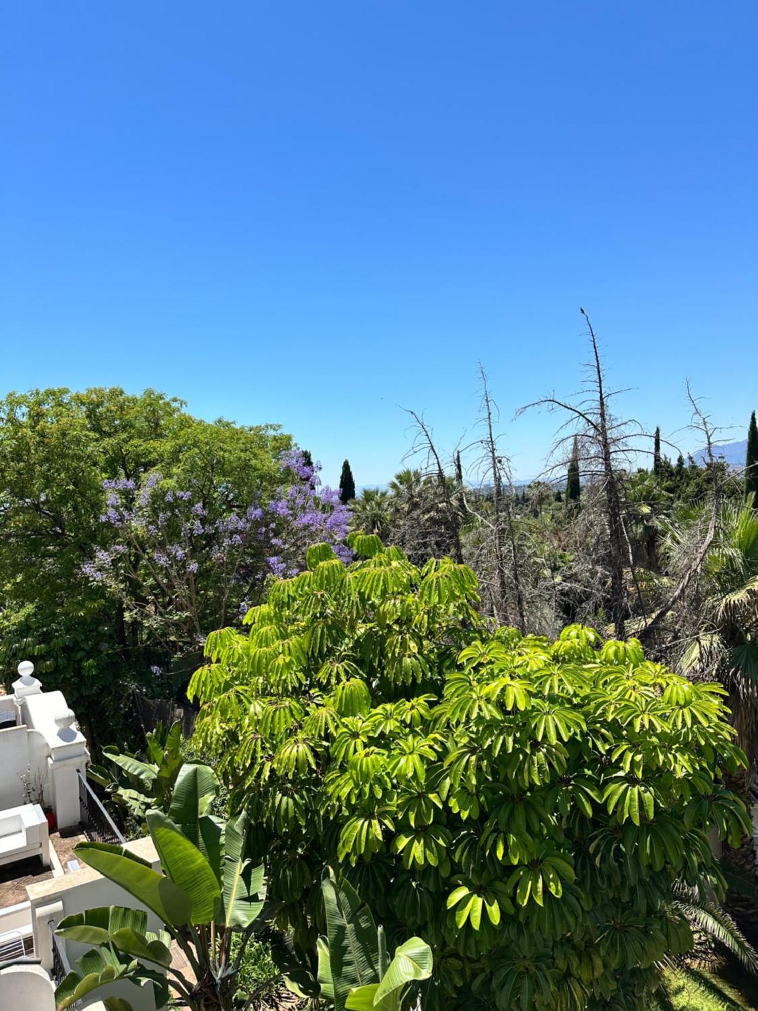 Apartment Duplex-penthouse With Stunning Panoramic View *